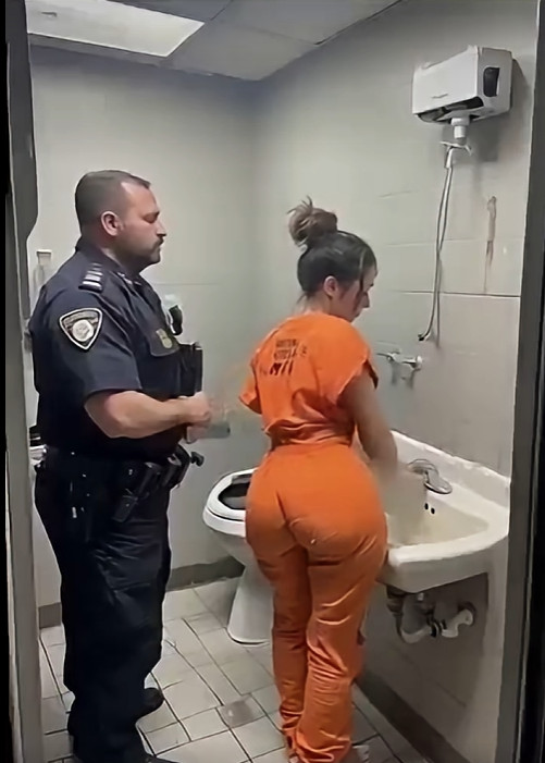 The Policeman Was Taken Away… and Forgot the Camera Was Still Rolling - featured image The Policeman Was Taken Away… and Forgot the Camera Was Still Rolling - featured image
