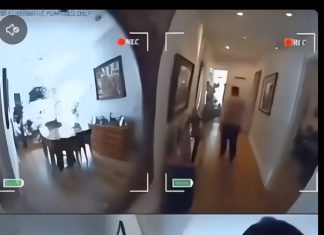 I Became Concerned After Our Babysitter’s Unexpected Behavior, So I Checked the Security Camera to Find Answers I Became Concerned After Our Babysitter’s Unexpected Behavior, So I Checked the Security Camera to Find Answers - featured image