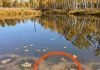 A Mysterious Object by the Lake Led to an Unexpected Discovery A Mysterious Object by the Lake Led to an Unexpected Discovery - featured image