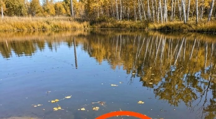 A Mysterious Object by the Lake Led to an Unexpected Discovery A Mysterious Object by the Lake Led to an Unexpected Discovery - featured image