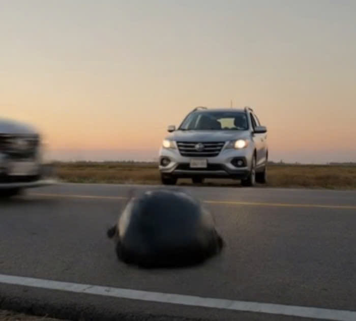 A Driver Threw A Black Bag On The Road — What We Found Inside Changed Everything - featured image A Driver Threw A Black Bag On The Road — What We Found Inside Changed Everything - featured image