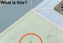 I Noticed Something Unusual on My Shoulder While Showering—Here’s What I Learned I Noticed Something Unusual on My Shoulder While Showering—Here’s What I Learned - featured image