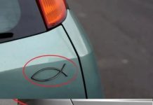 The Meaning Behind the Fish Symbol Seen on Many Vehicles The Meaning Behind the Fish Symbol Seen on Many Vehicles - featured image