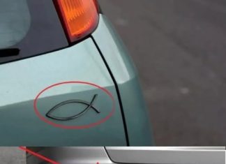 The Meaning Behind the Fish Symbol Seen on Many Vehicles The Meaning Behind the Fish Symbol Seen on Many Vehicles - featured image