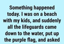 The Meaning Behind Purple Beach Flags and Why They Matter for Your Safety The Meaning Behind Purple Beach Flags and Why They Matter for Your Safety - featured image