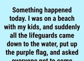 The Meaning Behind Purple Beach Flags and Why They Matter for Your Safety The Meaning Behind Purple Beach Flags and Why They Matter for Your Safety - featured image
