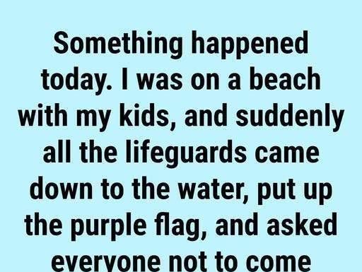 The Meaning Behind Purple Beach Flags and Why They Matter for Your Safety The Meaning Behind Purple Beach Flags and Why They Matter for Your Safety - featured image