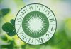 THE MIDWEEK SHIFT IS HERE: These Zodiac Signs Won’t Be Ready for What Comes Next Green zodiac wheel with astrological symbols surrounded by fresh leaves and soft natural light