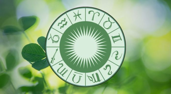 THE MIDWEEK SHIFT IS HERE: These Zodiac Signs Won’t Be Ready for What Comes Next Green zodiac wheel with astrological symbols surrounded by fresh leaves and soft natural light