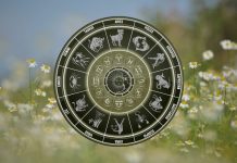 THE ATTRACTION WILL BE UNDENIABLE: These Zodiac Signs Are About to Fall Hard Golden zodiac wheel with astrological symbols surrounded by soft wildflowers and warm natural light