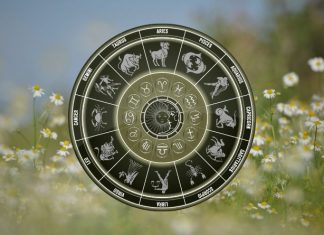 THE ATTRACTION WILL BE UNDENIABLE: These Zodiac Signs Are About to Fall Hard Golden zodiac wheel with astrological symbols surrounded by soft wildflowers and warm natural light