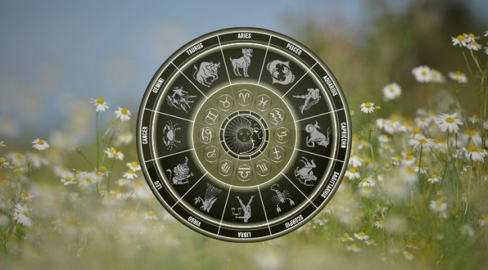 THE ATTRACTION WILL BE UNDENIABLE: These Zodiac Signs Are About to Fall Hard Golden zodiac wheel with astrological symbols surrounded by soft wildflowers and warm natural light