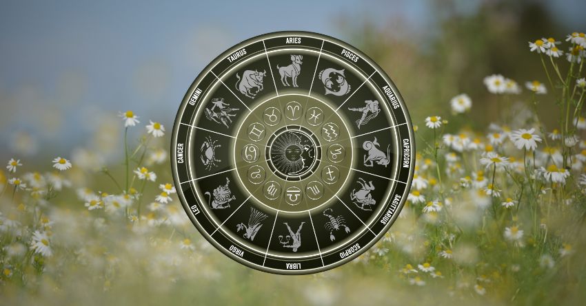 THE ATTRACTION WILL BE UNDENIABLE: These Zodiac Signs Are About to Fall Hard Golden zodiac wheel with astrological symbols surrounded by soft wildflowers and warm natural light