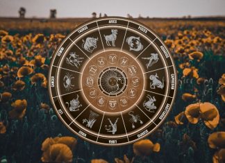 The Universe Is Restoring Balance — Karma Has a Message for These Signs Golden zodiac wheel with astrological symbols above a field of sunflowers under a warm evening sky